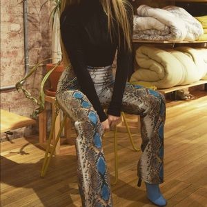 I AM GIA PYTHON PANTS!